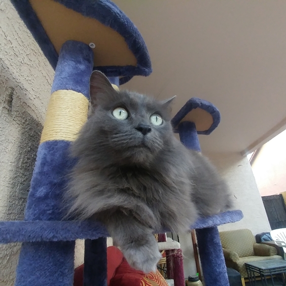 Meet your Posher, Kimberly - Picture 7 of 9